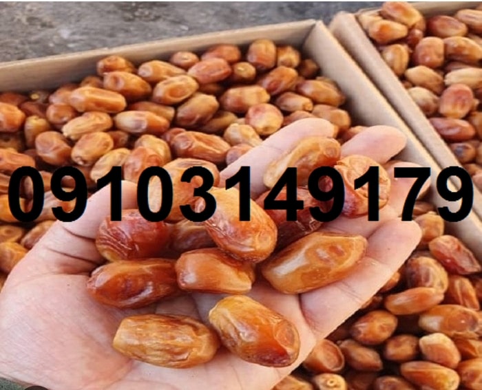 قیمت خرما زاهدی در بازار تهران