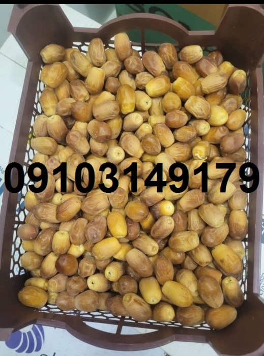 قیمت خرما زاهدی در بوشهر
